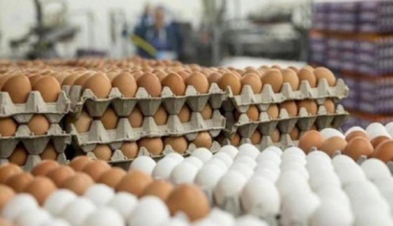 توقيف تاجر وحجز قرابة 23 ألف “بيضة” موجهة للمضاربة بالعاصمة