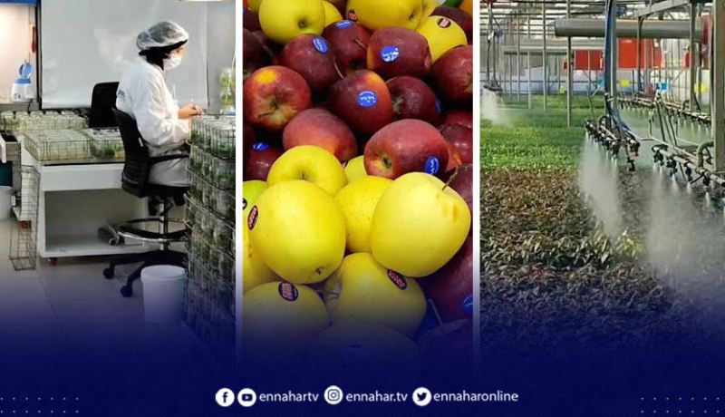 “فيتروبلان الجيري”.. مخبر تطوير وإنتاج للشتلات الفلاحية بشراكة جزائرية-إيطالية