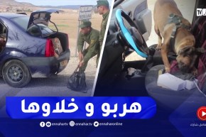 شاهد..درك أم البواقي يحجز قرابة 190 كغ من الكيف المعالج مخبأة داخل سيارة