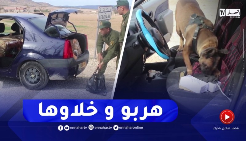 شاهد..درك أم البواقي يحجز قرابة 190 كغ من الكيف المعالج مخبأة داخل سيارة