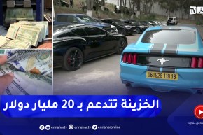 بعد فتح حساب صندوق الأموال المسترجعة .. الصندوق يتدعم بـ 20 مليار دولار
