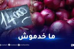 البصل يصل إلى 140 دينار.. الفلاحون يوضحون