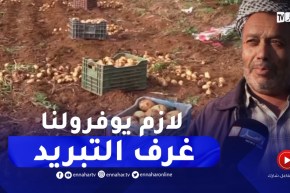 فلاحو شعبة البطاطا يطالبون برفع قدرات التبريد بغليزان