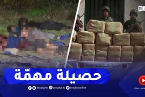 سنة 2022..القضاء على 20 إرهـ.ـابيا وحجز 48,54 طن من الكيف المعالج