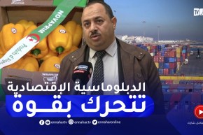 ملتقيات وندوات جزائرية بالخارج.. الدبلوماسية الإقتصادية تتحرك بقوة مع بداية 2023