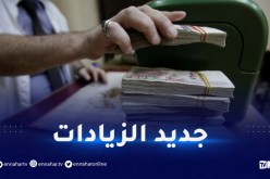 الجريدة الرسمية.. هكذا تحدّد الشبكة الاستدلالية وهذه كيفيات منح الزيادات