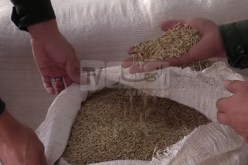عين الدفلى: أحكام بين 12 و20 سنة سجنا نافذا للمضاربين بمادة الشعير