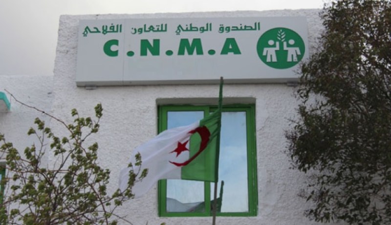 شباك موحد للفلاحين للتأمين على الحياة والمحاصيل قريبا في CNMA