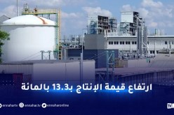 تحويل ممتلكات وأصول 15 شركة إلى القطاع العمومي