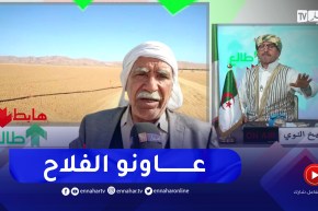 طالع هابط: فلاحو طولقة ببسكرة يطالبون السلطات بربطهم بالكهرباء من أجل سقي محصولهم