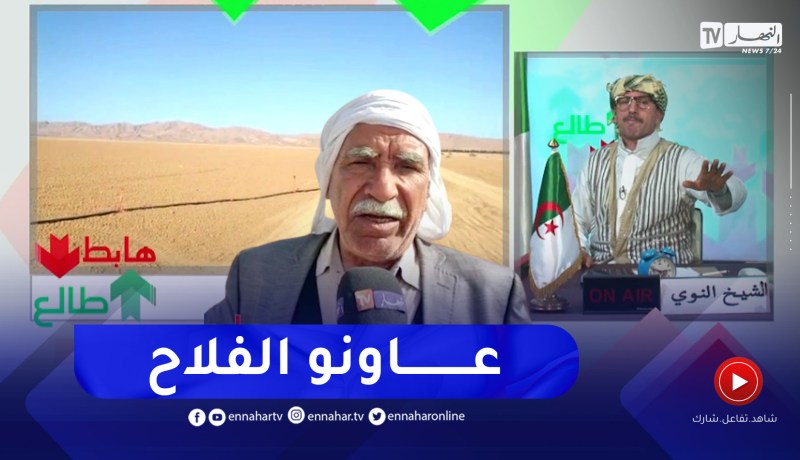 طالع هابط: فلاحو طولقة ببسكرة يطالبون السلطات بربطهم بالكهرباء من أجل سقي محصولهم