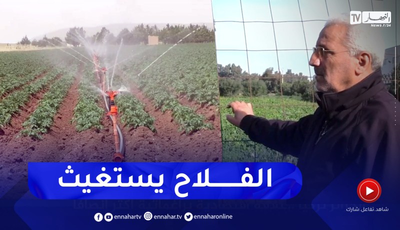 مجتمع: أراضي فلاحية متنازع عليها .. مشكل يؤرق مالكيها