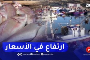 إرتفاع طفيف في المنتوج السمكي والنهار ترصد أسعاره في أسواق التجزئة بعين تموشنت