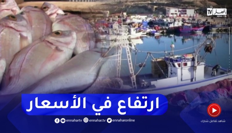 إرتفاع طفيف في المنتوج السمكي والنهار ترصد أسعاره في أسواق التجزئة بعين تموشنت
