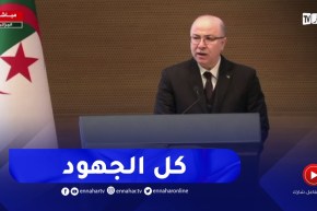 الوزير الأول: الوضعية الاقتصادية الراهنة تتطلب تكاثف كل الجهود