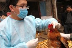 بعد تطور “مقلق”.. مخاوف من تحول إنفلونزا الطيور لـ”وباء بشري”