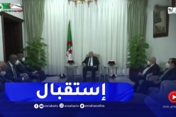 رئيس الجمهورية يستقبل عبد اللاي ديوب والعقيد الركن إسماعيل واق