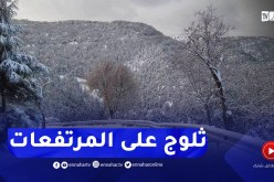 إستمرار تساقط الثلوج على المرتفعات التي يتراوح علوها بين 700 متر و800 متر