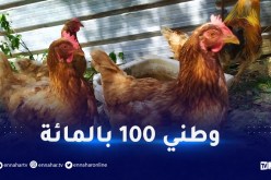 وزارة الفلاحة.. الجزائر لا تستورد الدجاج البيوض