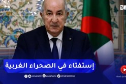 رئيس الجمهورية : إتفقنا على دعم مبعوث الأمين  العام للأمم المتحدة للإستفتاء في الصحراء الغربية