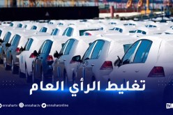 منح رخصتين لعلامتين صينية وألمانية.. وزارة الصناعة تحسم الجدل