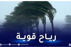 نشرية خاصة: رياح تصل 90 كلم/ الساعة على هذه الولايات بداية من الثالثة زوالا