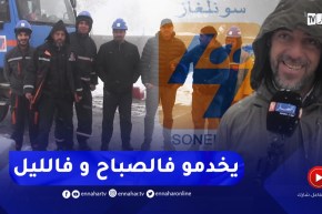 الثلوج تتسبب في قطع التيار الكهربائي ببوزيزي و سونلغاز تخصص فرق صيانة بعنابة