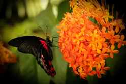 معونة للعاقل وتذكير للغافل