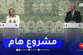 رئيس الجمهورية : إتفقنا على دراسة وإنجاز أنبوب يضم الغاز الهيدروجين..الأمونياك و الكهرباء