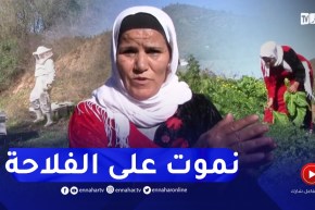 سكيكدة : دليلة الواهم مصباح..إمرأة ريفية تسعى لتحقق حلم الإستثمار