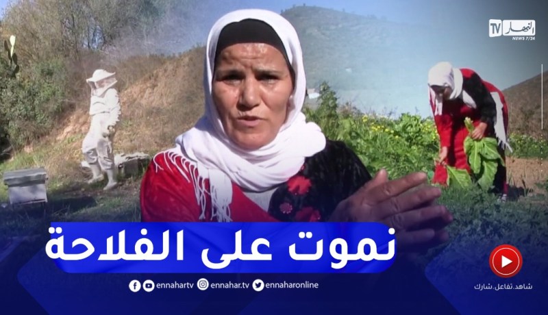 سكيكدة : دليلة الواهم مصباح..إمرأة ريفية تسعى لتحقق حلم الإستثمار