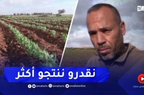 غليزان : المحيط الفلاحي العقايبيبة..فلاحون يرفعون التحدي في خدمة الأرض