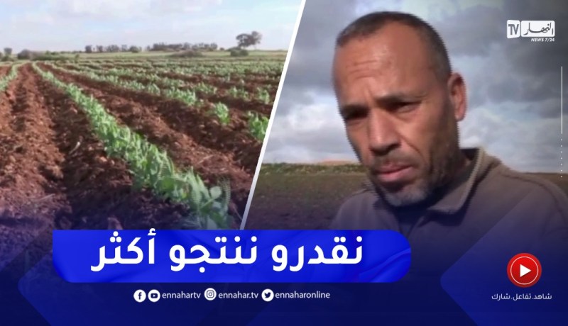 غليزان : المحيط الفلاحي العقايبيبة..فلاحون يرفعون التحدي في خدمة الأرض