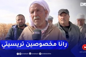 بسكرة: فلاحو منطقة المازوشية بطولقة يدقون ناقوس الخطر