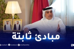 سفير قطر بالجزائر..”العالم العربي بحاجة إلى الدبلوماسية الجزائرية”