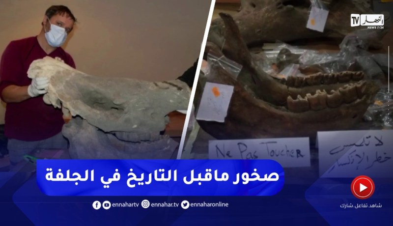 الجلفة / نقوش صخرية لعصور ماقبل التاريخ بحاجة لترويج سياحي بمنطقة زكار