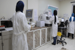“ألجيراك” و”إيانور” ملتزمتان بتفعيل مساري المطابقة والتقييس