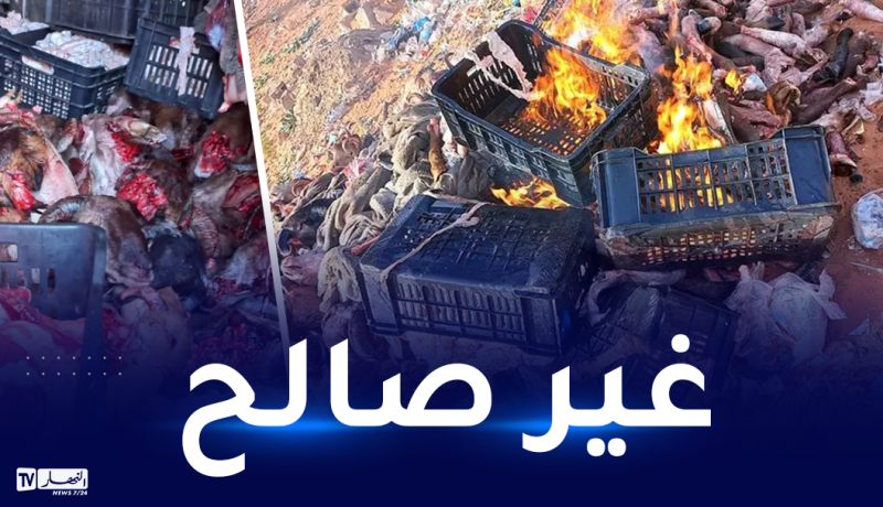 البيض: حجز 8 قناطير من أحشاء ورؤوس الأغنام غير صالحة للإستهلاك