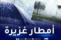 أمطار رعدية وبرد على 20 ولاية اليوم وغدا