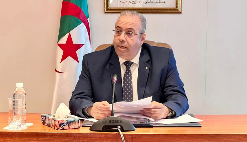 نحو إعادة بعث نشاط المؤسسات والوحدات المتوقفة للمجمع العمومي “ELEC ELDJAZAIR”