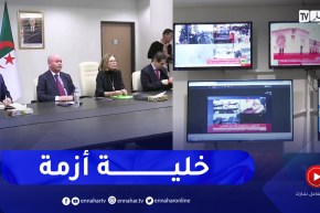 خارجية: وضع خلية أزمة لمتابعة أوضاع الجالية الوطنية في تركيا وسوريا