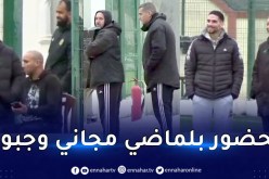 محليو الخضر يُجرون آخر حصة تدريبية قبل نهائي الشان