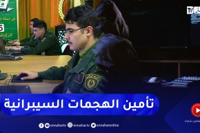 الهجـ مات المقرصنة على المواقع الإلكترونية.. هذه هي طرق تأمينها