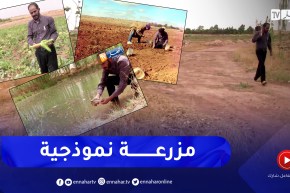 الجلفة: ساعد.. نموذج ناجح لمستثمر حوّل أراضي صخرية قاحلة لجنة خضراء