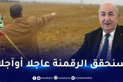 رئيس الجمهورية: “أنا غاضب جدا من استفحال البيروقراطية والتماطل وتضييع الوقت”