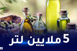 الجلفة في صدارة الولايات المنتجة لزيت الزيتون