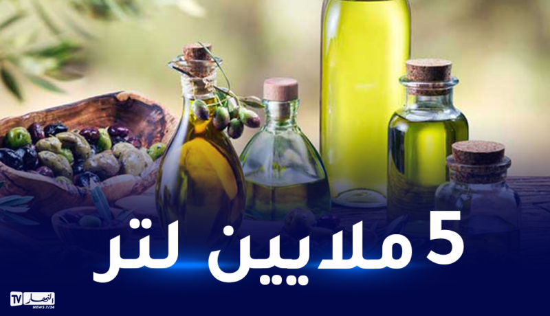 الجلفة في صدارة الولايات المنتجة لزيت الزيتون