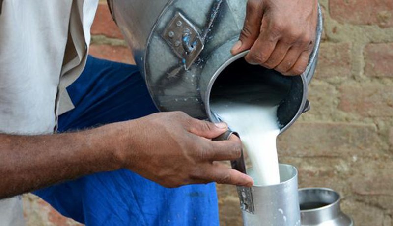 منع بيع الحليب الطازج غير المبستر بهذه البلدية