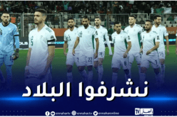 قندوز يوجه رسالة مؤثرة للجزائريين بعد خسارة نهائي الشان