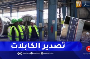 السويدي للكابلات .. إستثمار مصري يواصل إقتحامه للأسواق العالمية